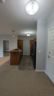 PXL 20250313 184142579