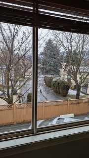 PXL 20250313 184305422